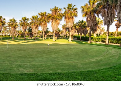 Beautiful Golf Course With Green Grass. Tall Trees. Sunny Day With A Blue, Clear Sky