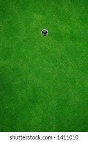 Beautiful Golf Green Seen From Above