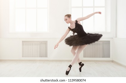 swan ballet Images, Stock Photos & Vectors