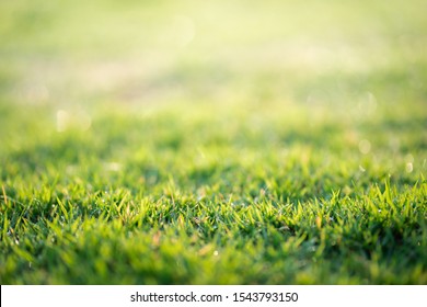 Green Zone High Res Stock Images Shutterstock Green Zone High Res Stock Images Shutterstock