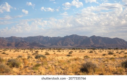 Beautiful Grassland Landscape With Brandberg Mountain, Namibia