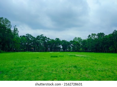 A Beautiful Grassy Playground Surrounded By Many Kinds Of Trees Under Rainy Season Sky. College Sports Field.