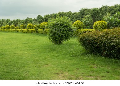 Beautiful green background garden with lawn and tress  - Shutterstock ID 1391370479
