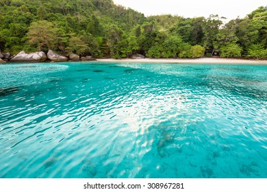 Silver Glen Springs Recreation Area Florida Stock Photo 1034719894 ...