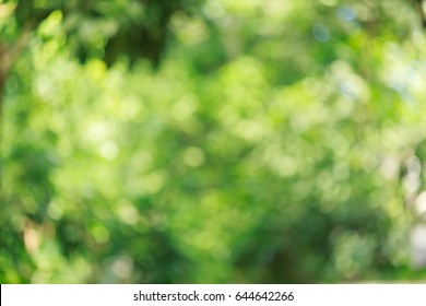 beautiful green bokeh light in summer nature, abstract blur image background - Shutterstock ID 644642266