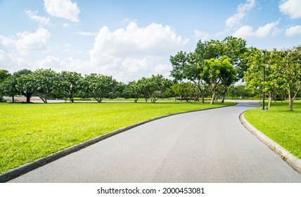 Beautiful green city park with blue sky. Pathway and beautiful trees track for running or walking and cycling relax in the park on green grass field on the side. Sunlight and flare background concept. - Powered by Shutterstock