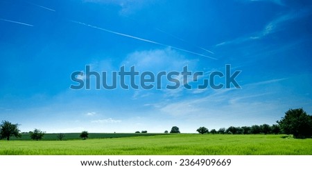Beautiful Green Field and Blue Sky, 
Nature Landscape with Lush Greenery, 
Scenic Countryside View in Summer, 
Idyllic Rural Scene under Clear Skies, 
Tranquil Nature Background with Fields