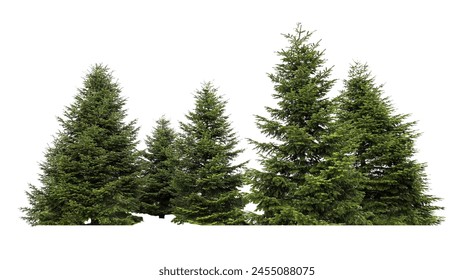 Beautiful green fir trees isolated on white - Powered by Shutterstock