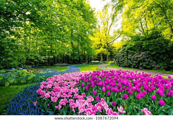 鮮度 美しさ 自然にあふれた美しい緑の庭 虹の花は独特の外観を与え カーブレンガの風景が庭の一番の場所です の写真素材 今すぐ編集