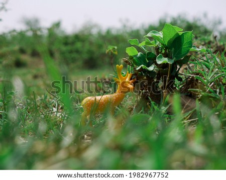 Beautiful green grass behind on the focus Deer toy animal presentation