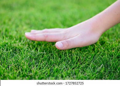 Beautiful green grass. The hand of the child touches the grass. Back to nature, love earth. Environment concept. Children and nature. Side view, banner with copy space. - Shutterstock ID 1727852725