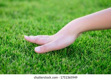 Beautiful green grass. The hand of the child touches the grass. Back to nature, love earth. Environment concept. Children and nature. Side view, banner with copy space. - Shutterstock ID 1751365949