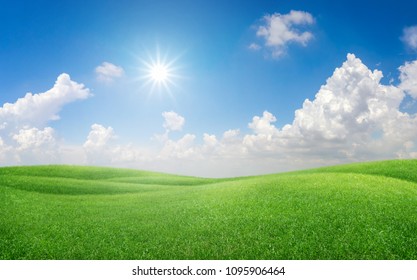 Anime Grassy Background