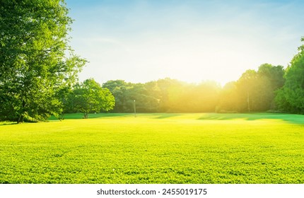 Beautiful green grass, lawn against tree background of a blue sky on a sunny day. The natural background with orange sunlight in the morning - Powered by Shutterstock