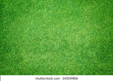 Beautiful Green Grass Texture