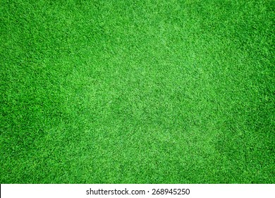 Beautiful Green Grass Texture