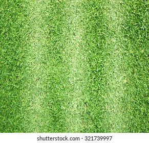 Beautiful green grass texture - Shutterstock ID 321739997