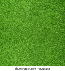 Beautiful Green Grass Texture From Golf Course