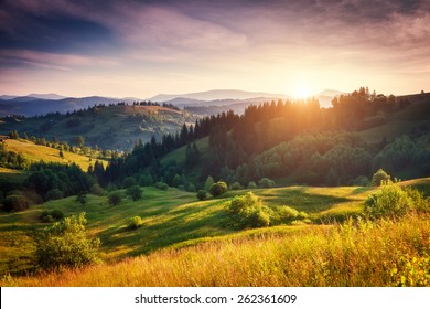 Beautiful green hills glowing by sunlight at twilight. Dramatic scene. Colorful sky. Carpathian, Ukraine, Europe. Beauty world. - Shutterstock ID 262361609