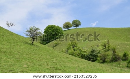 Beautiful green hills, pastures and trees of Zagajica hills near Vrsac, Serbia