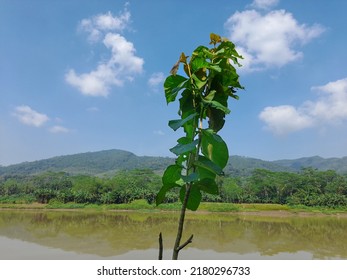 Beautiful Green Hillside View Beside The River