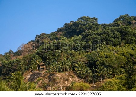 Beautiful green jungle on the mountain. Blue sky. Colorful nature of thailand. Paradise place.
