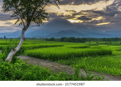 beautiful green landscape with high mountains in bengkulu, indonesia