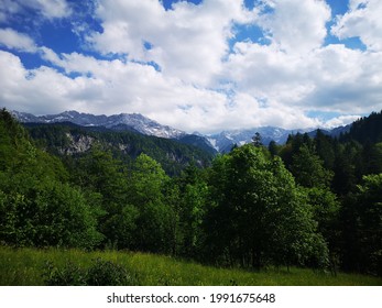 A beautiful green landscape, with mountains and a blue sky.  A green and colorful flower meadow and a forest.