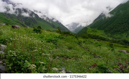Beautiful Green Landscape Panorama View Of Valley Of Flowers National Park Joshimath India