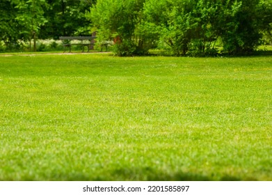 5,325 Mown lawn Images, Stock Photos & Vectors | Shutterstock