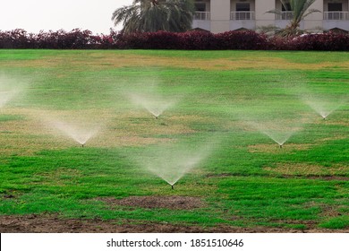 Beautiful Green Lawn Park With Trees Is Sprayed With Automatic Water Spray Sprinkler Installation During Hot Period In Summer Blue Sky. Irrigation Turf.