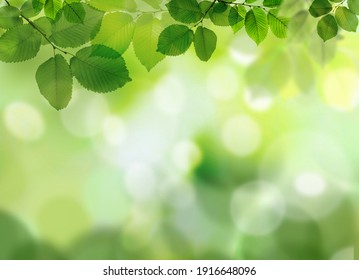Beautiful green leaves on blurred background, space for text. Spring season 
