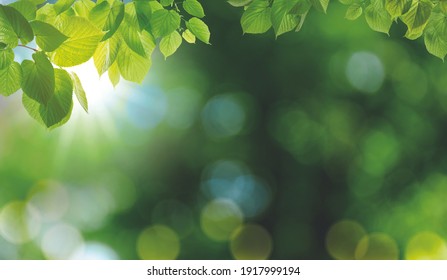 Environnement Nature Images Stock Photos Vectors Shutterstock