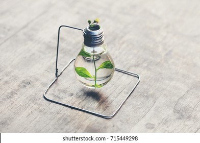 Light Bulb Vase Images Stock Photos Vectors Shutterstock