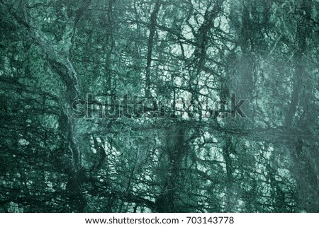 Similar – Image, Stock Photo Quo vadis? Forest