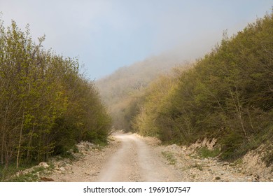 Beautiful green mountain landscape with long dirt road and big mountains with forest in fog.