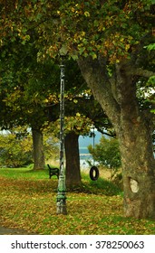 A Beautiful Green Park With A Bench And A Tyre Swing In A Small Scottish Town Of Cromarty, Scotland, The UK  