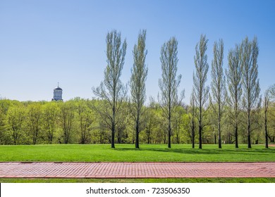 Beautiful Green Park & Blue Clear Sky Landscape. A Line Of Tree Ranges Along A Red Brick Path. A Straight Road In Front Of The A Line Of Tree Run Horizontally Across The Bright Flat Green Field. 