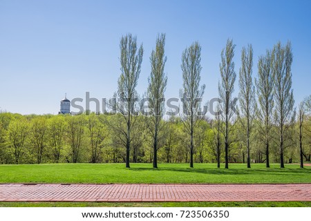 Beautiful green park & blue clear sky landscape. A line of tree ranges along a red brick path. A straight road in front of the a line of tree run horizontally across the bright flat green field. 