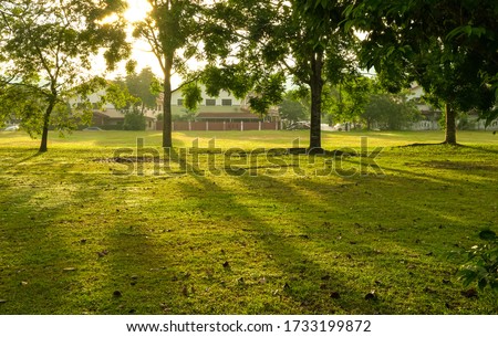 Beautiful green park with trees. Sun rays and flares. Nature background. Stock fotó © 