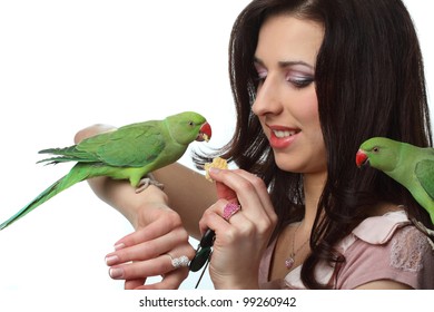 parrot trainers