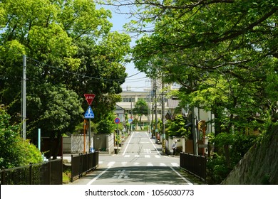 Beautiful Green Road, Itami, Hyogo, Japan