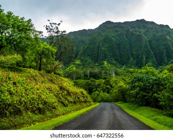 The Beautiful Green Scenery At Hoomaluhia Botanical Gardens