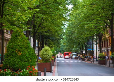 The Beautiful And Green Street In Bilbao, Spain