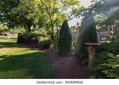 Beautiful Green Summer Garden in the Backyard of a Midwestern Home in Illinois