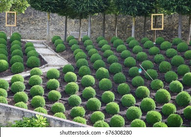 Beautiful Green Topiary Garden In France