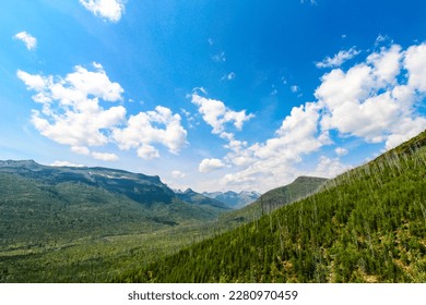 A beautiful green valley with blue skies above in Glacier National Park, MT.