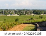 Beautiful green vine perspective in the slopes of the Montagne de Beaune, Burgundy, France. English : Beaune Mountain. Vanishing point inside the vineyard  with the city of Beaune in the background.