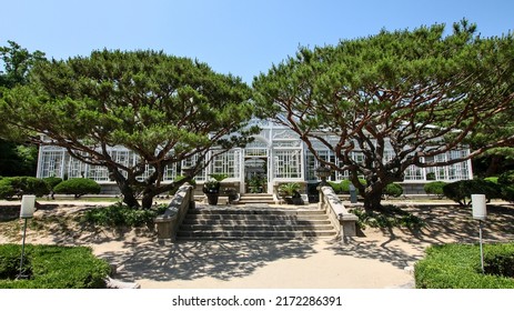 Beautiful Greenhouse At Changdeokgung Palace Complex, Seoul