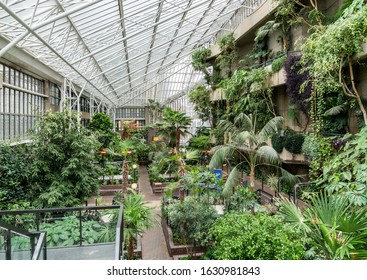 Beautiful Greenhouse Conservatory Garden Insinde Barbican Center,  With Green And Fresh Tropical Plants In London, UK